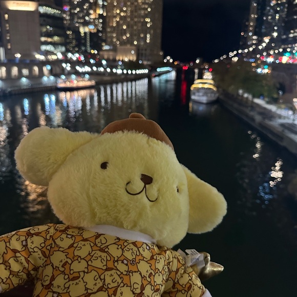 Meet your Posher, Lucy - Picture 2 of 3